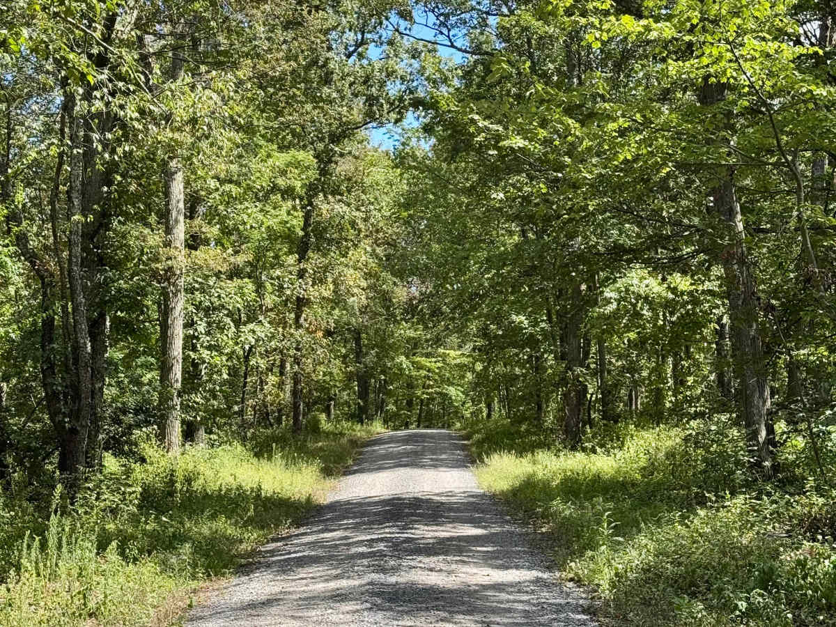 Summit Road photo 5