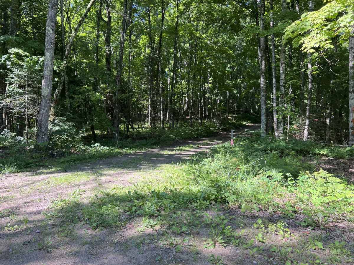 FS 2399 trail photo