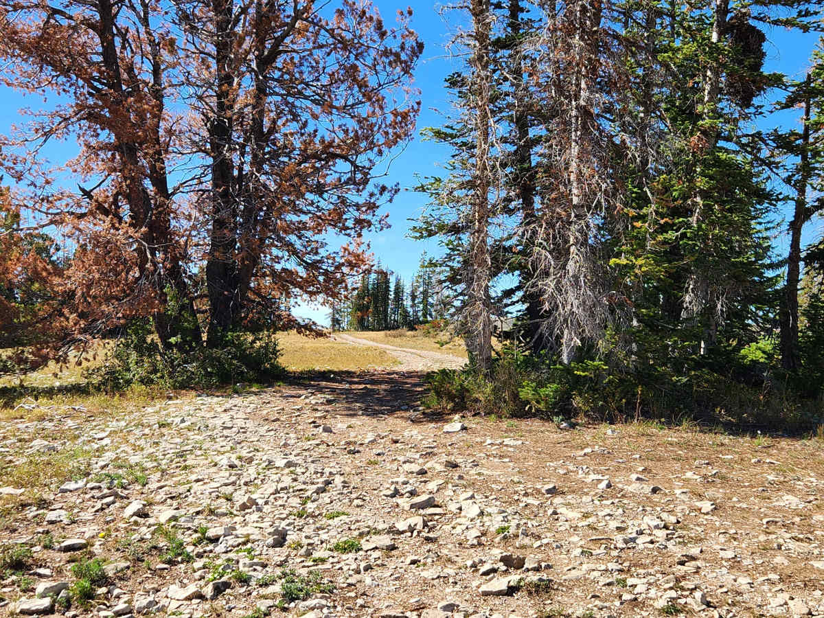 Becks Ridge - FS 52146 photo 2