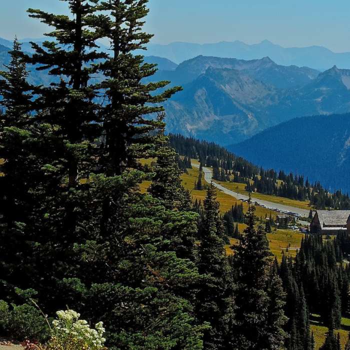 Near Sourdough Ridge