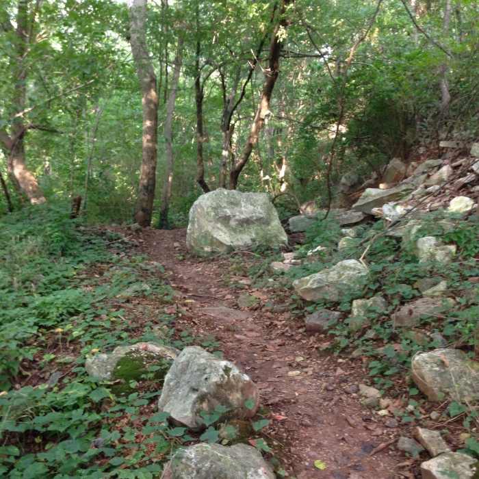 Rocks along the High Road Near Low Hollow Trail