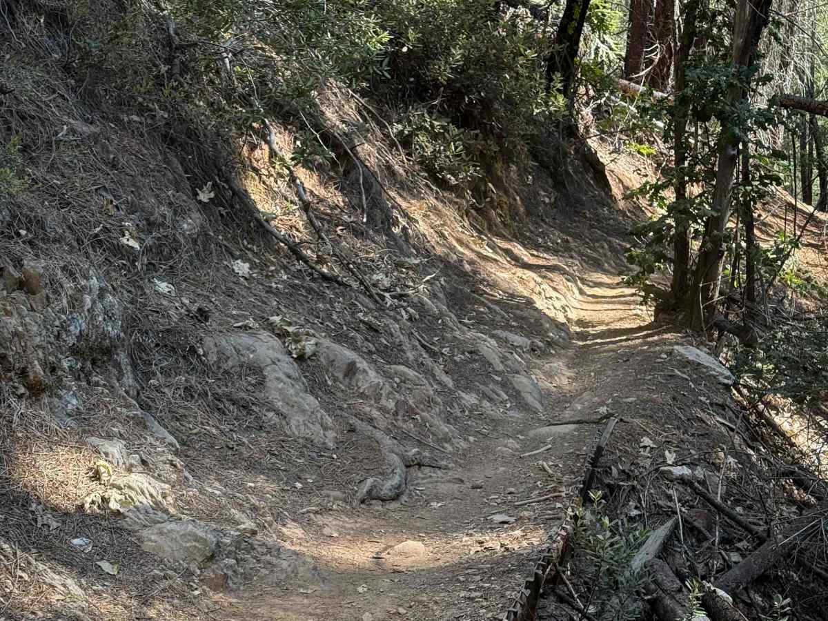 Trail 3-1 ATV (11E16)  photo 4
