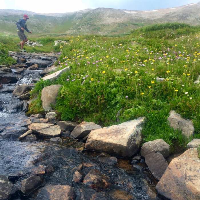 One of many creek crossings between Searle and Kokomo Passes Near Colorado Trail: Copper Mountain to Camp Hale