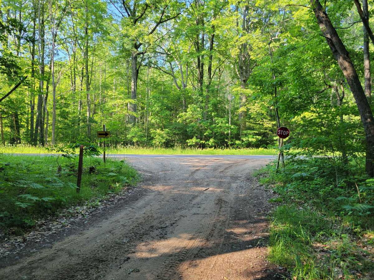 5525 Forest Road photo 4