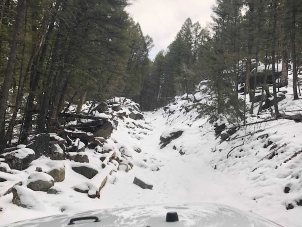 McCarty Creek Trail trail photo