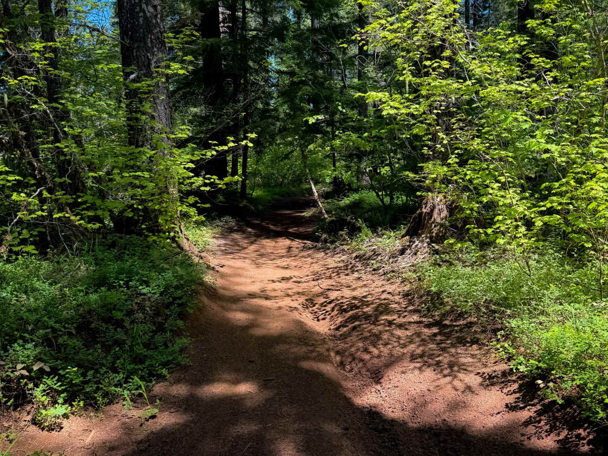 201 photo 4
