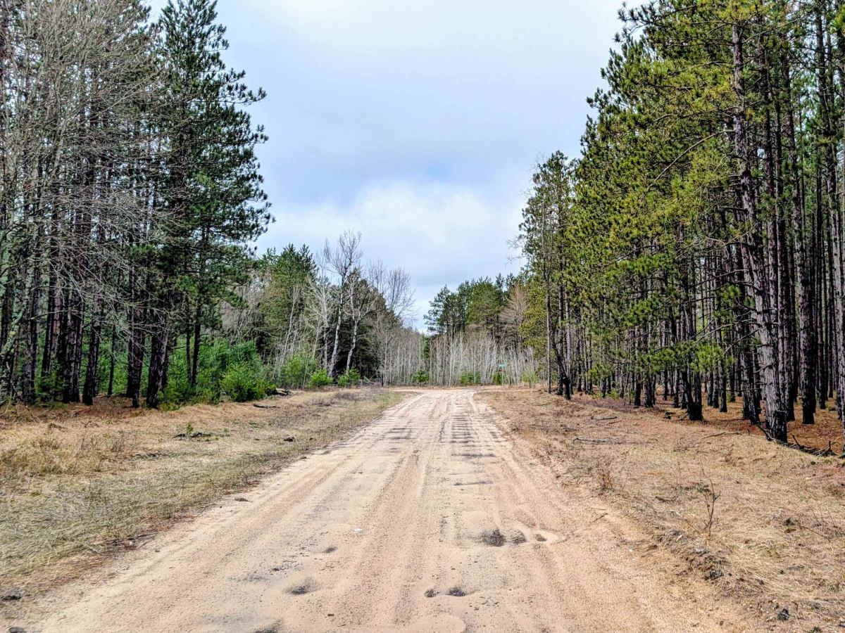 Manistee River Road Southeast trail photo