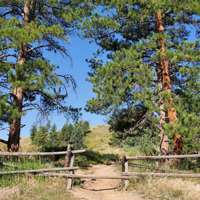 Near Winnegar Ridge Trail #359.1B