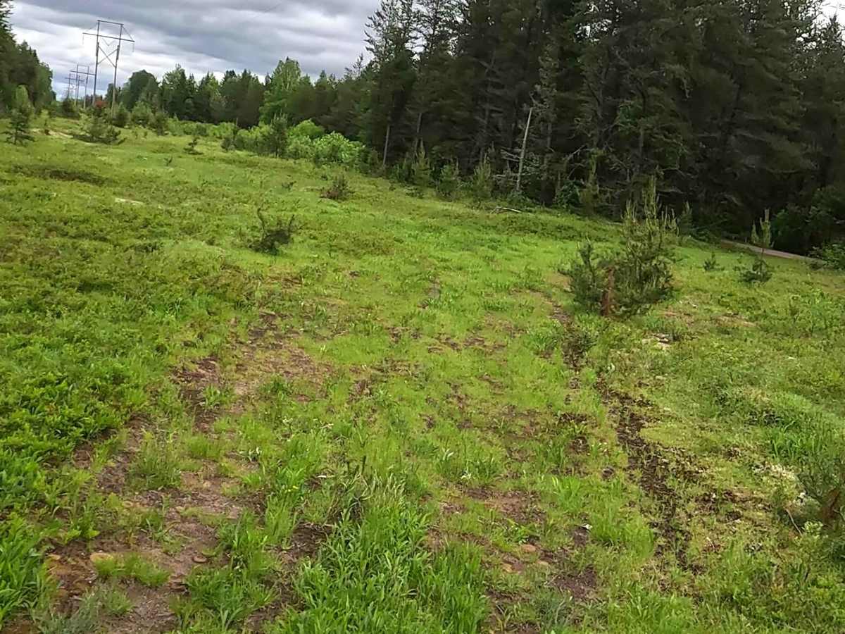 Peshekee to Clowry Trail photo 4