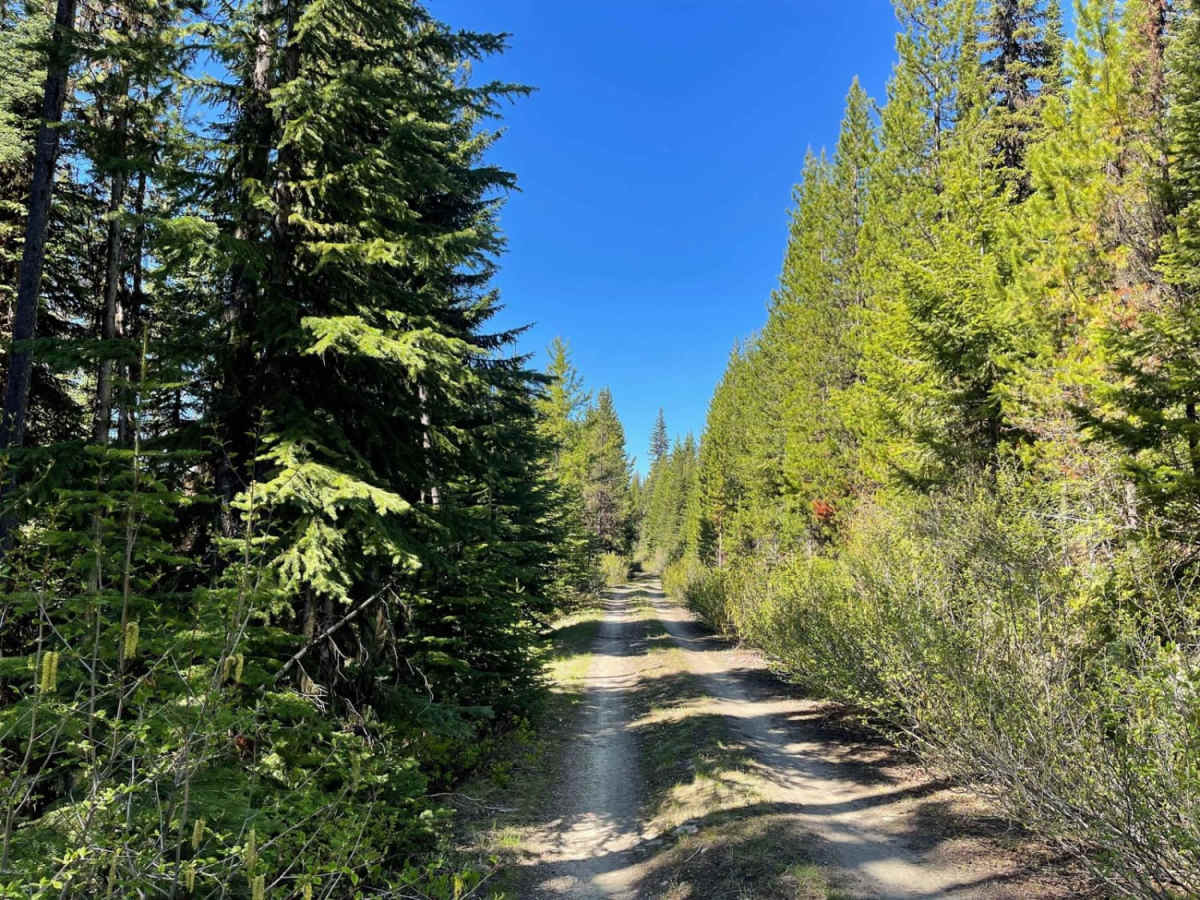 Butte Ridge photo 6
