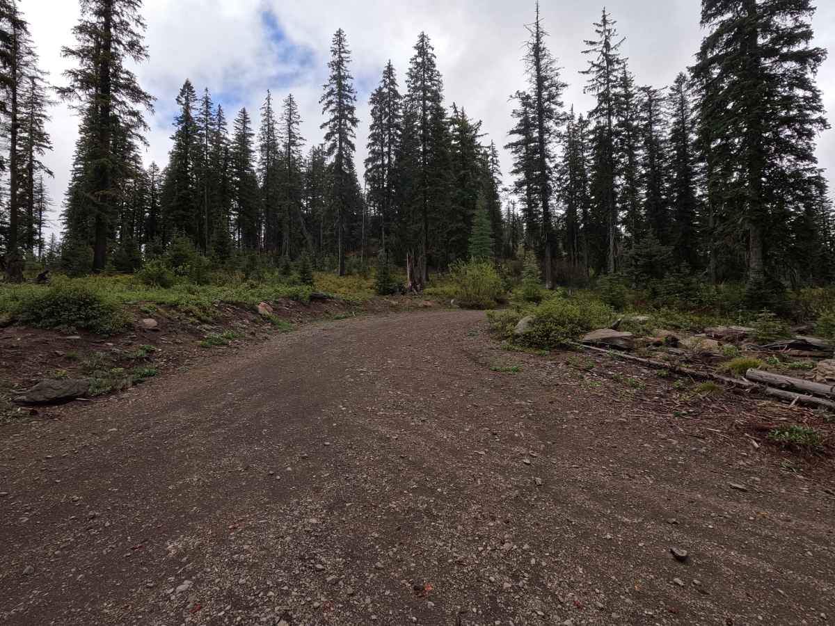 FS 3120500 trail photo