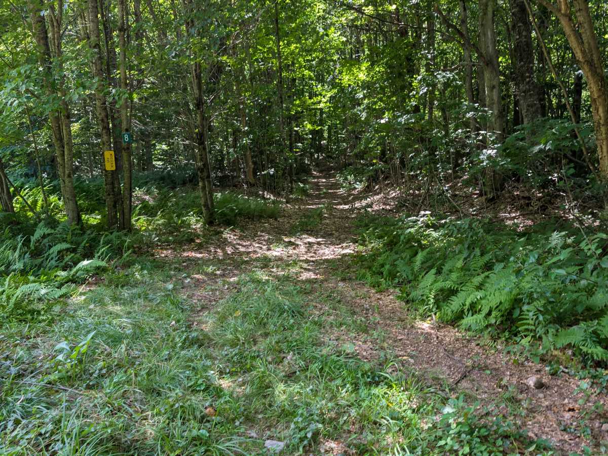 Grass River Trail photo 3