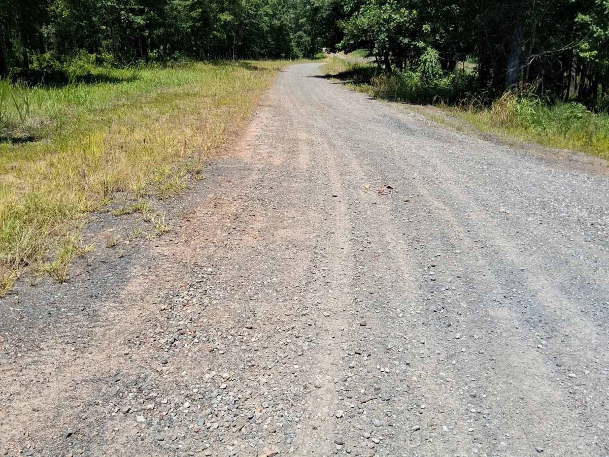 Andrew Road trail photo