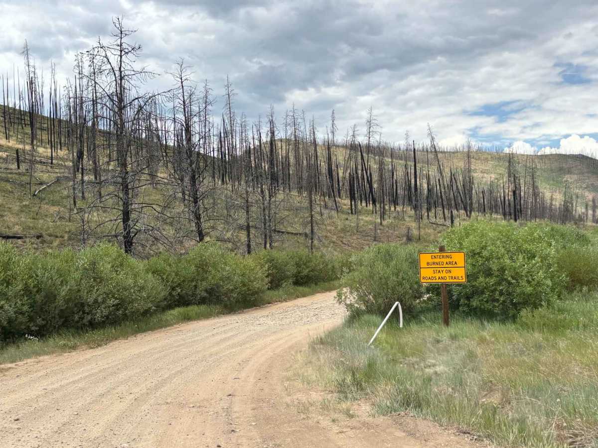 Bill Miller Trailhead Access Road photo 2