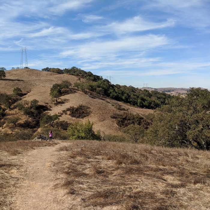 Near Arrowhead Loop Trail