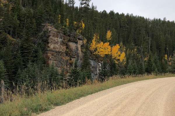 Beaver Creek Road(FS 111)