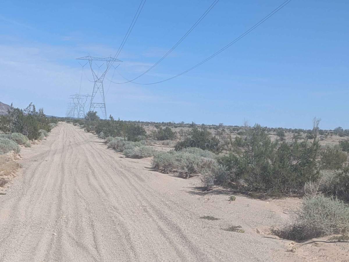BLM 920 photo 3