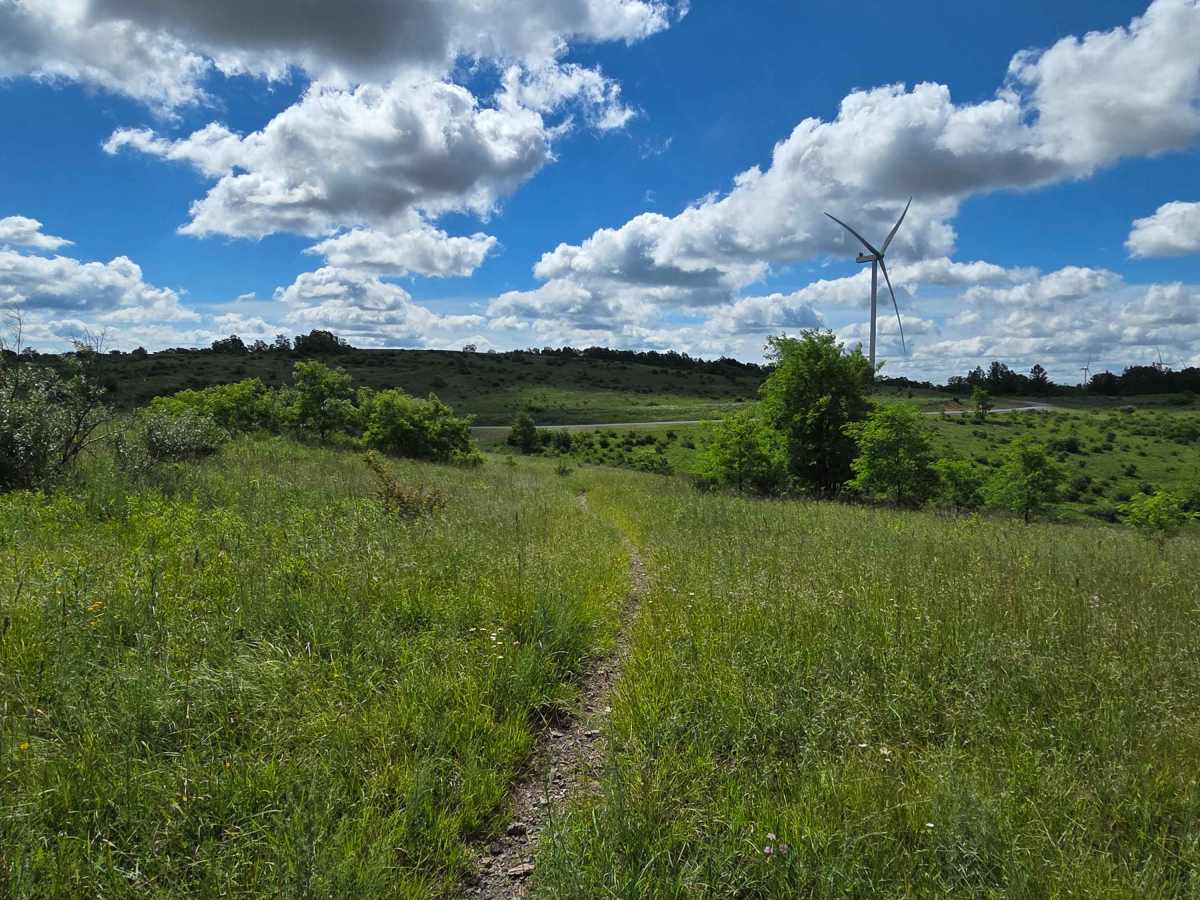 Single Track K trail photo