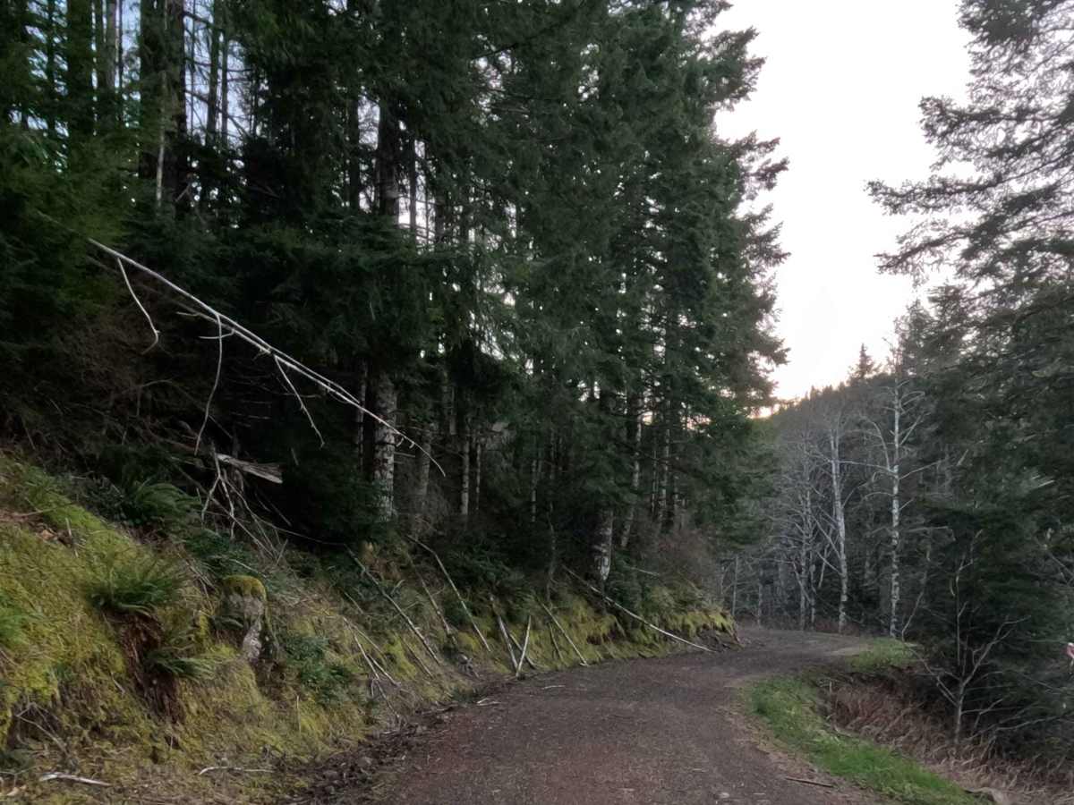 Simmons Ridge Road photo 5