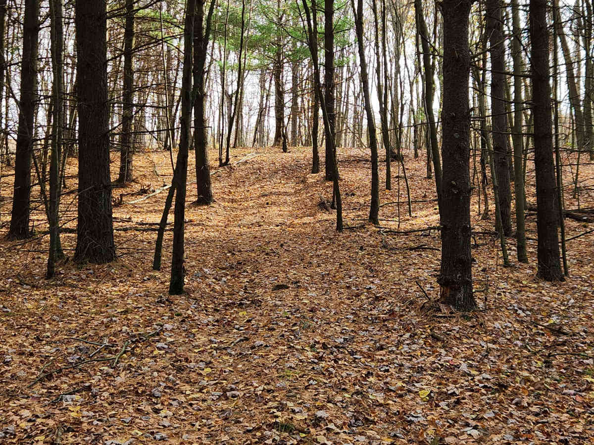 OHV 7 - Rock Run Recreation Area photo 5