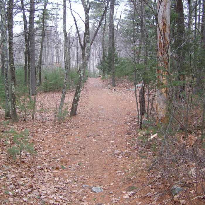 Undercliff Path near Needham's Crossing" courtesy of the Lynn Woods Ranger. Near Lynn Woods Loop