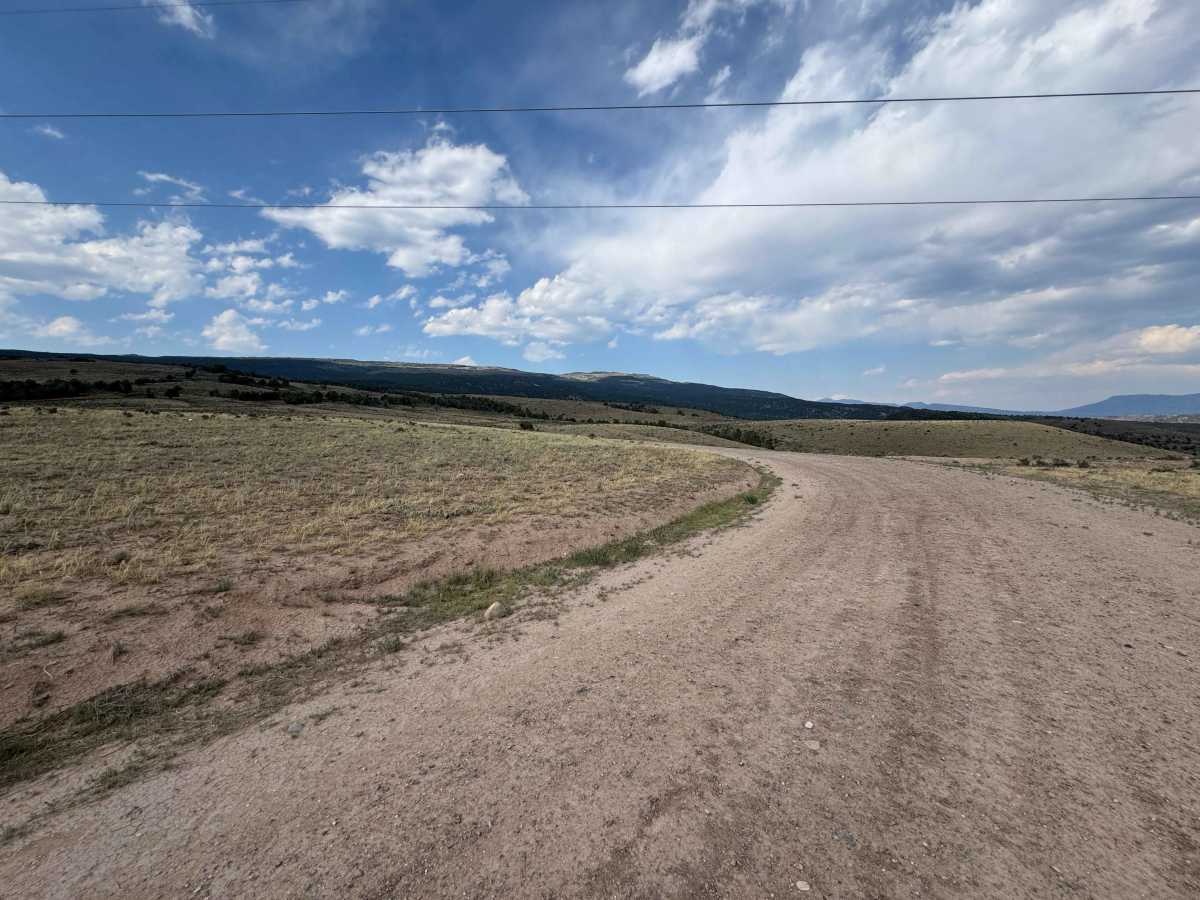 BLM 8569 photo 4