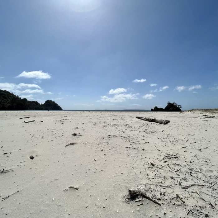 Near New Chums Beach Trail Near New Chums Beach Trail