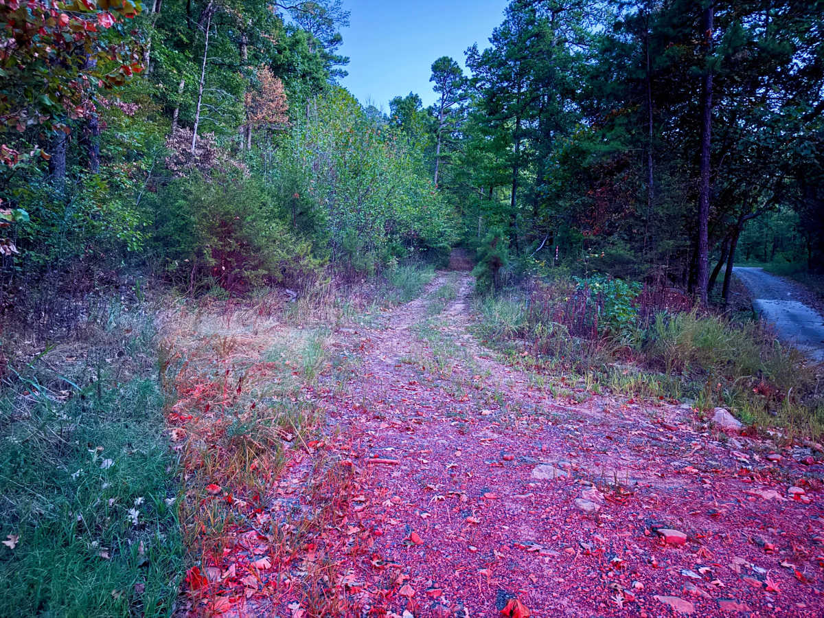 Robert Hill Road trail photo