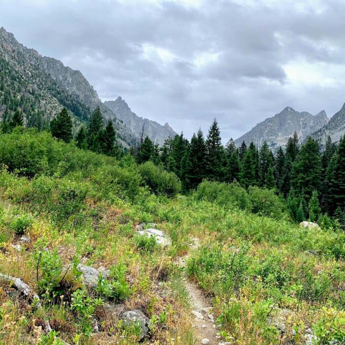 Near Redfish creek - Baron Creek Trail #101 Near Redfish creek - Baron Creek Trail #101