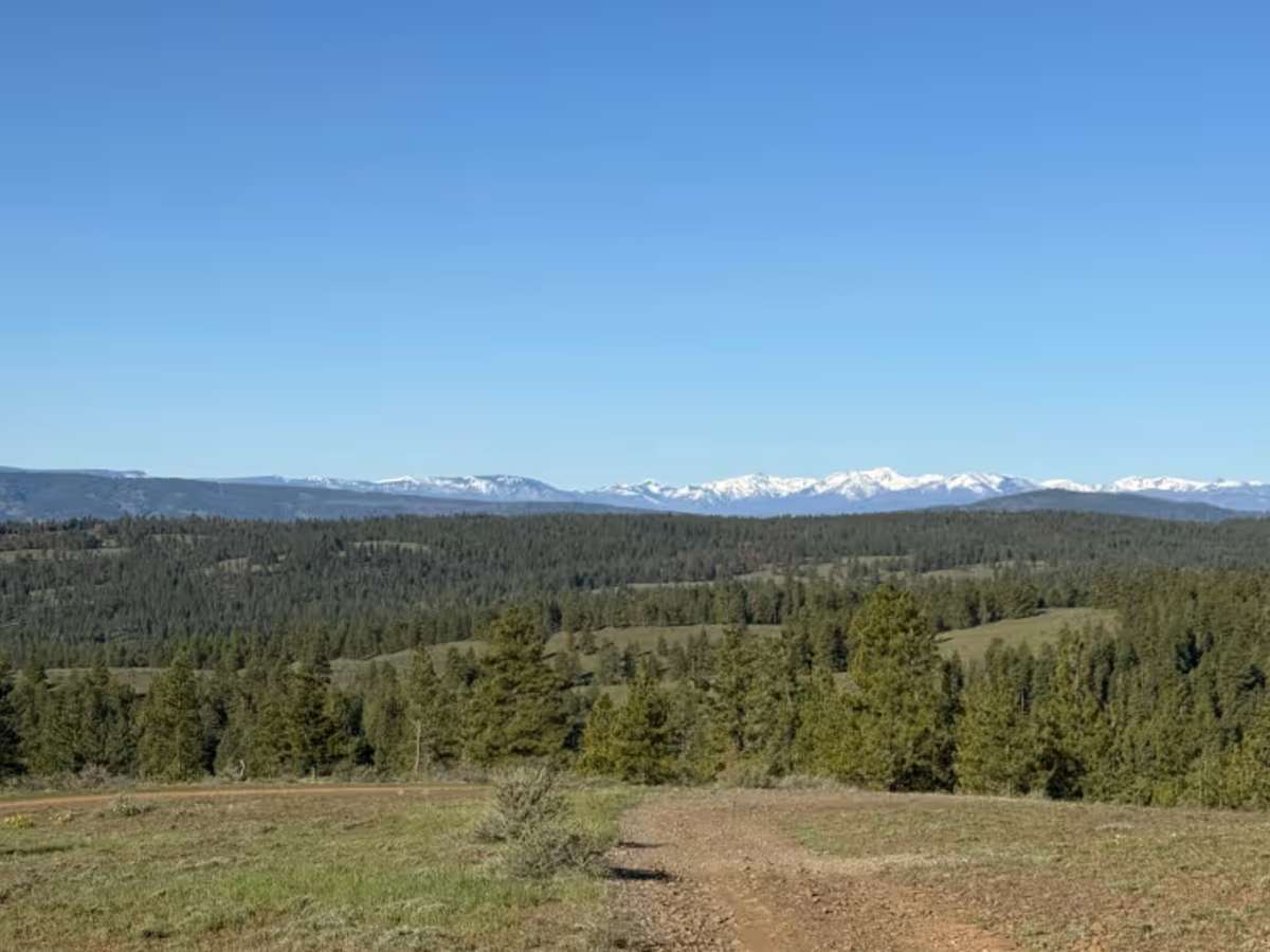 Observatory Loop photo 3