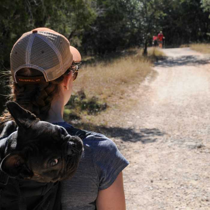Near Wolf Mountain Trail