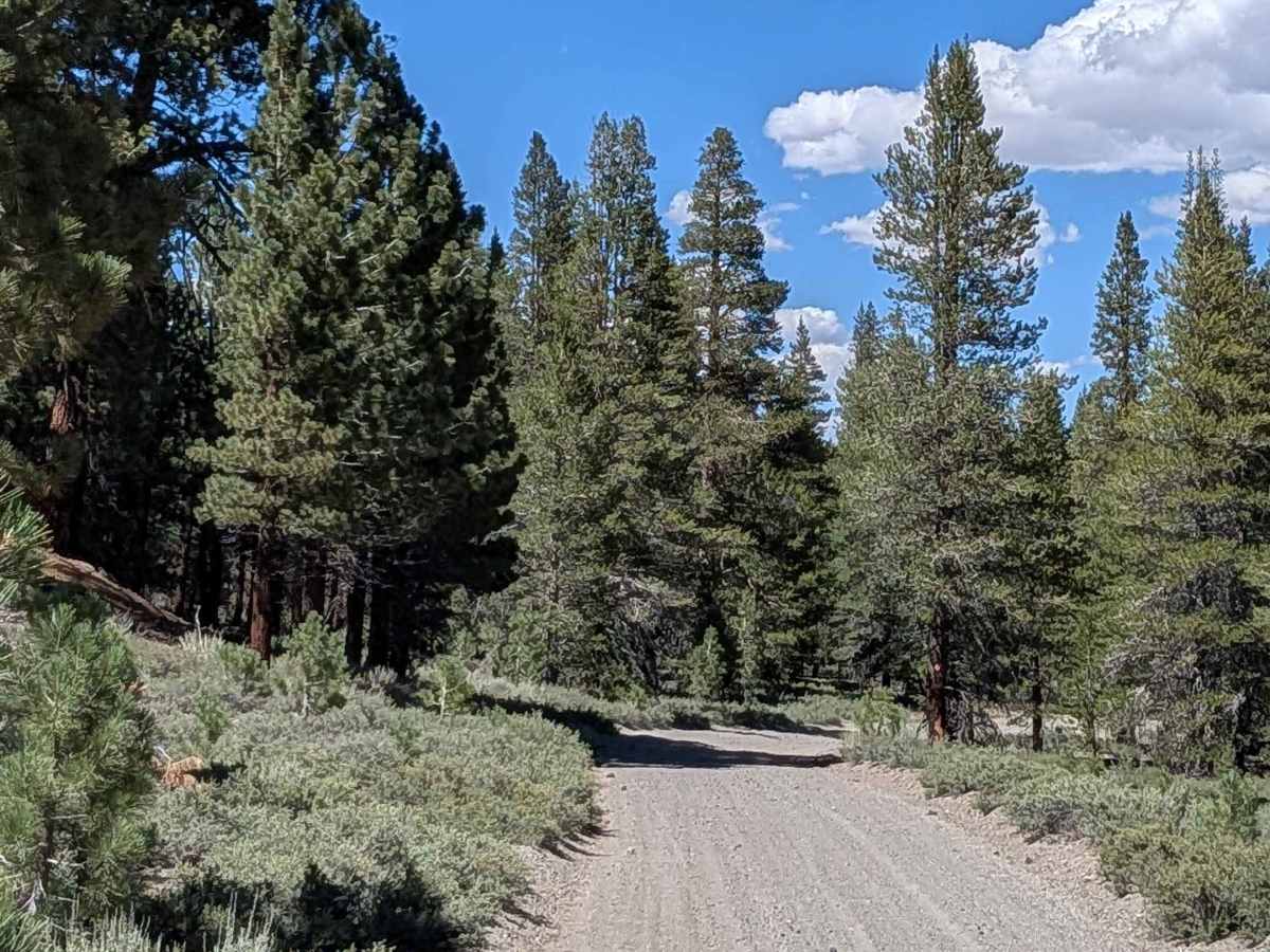Big Springs Road FS 32E601 photo 6