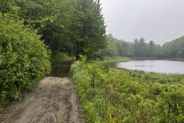 Amos Case Road - North Section
