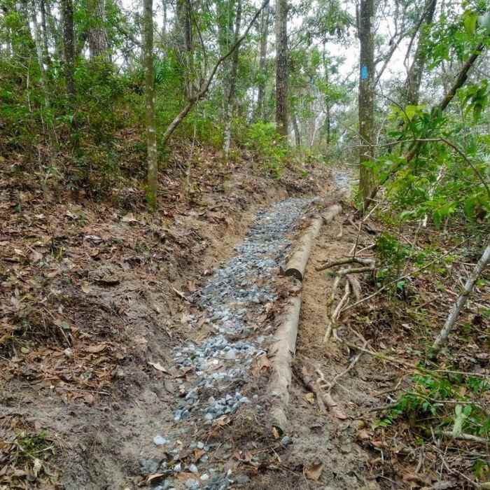 Reinforced foot path Near Pioneer Trail