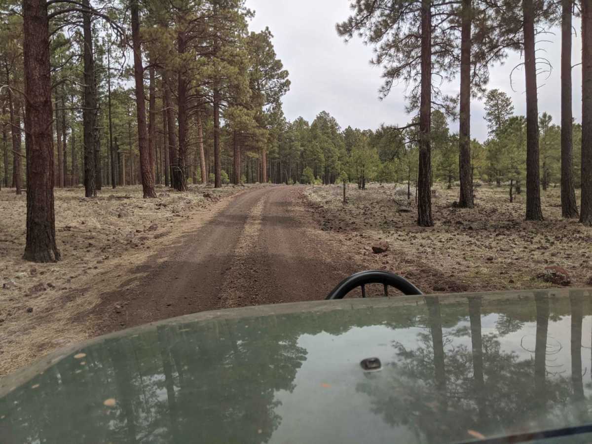 Road 786 photo 2