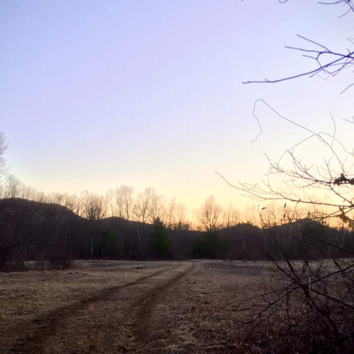 Trail continues up along the Holyoke Range ridge in the background. Near Robert Frost Trail
