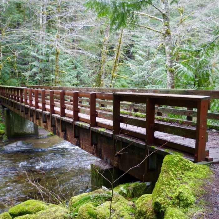 Still Creek Trail actually starts in Camp Creek Campground at this bridge over Camp Creek. The 1.6 mile trail ends at Still Creek. Photo by John Sparks. Near Still Creek Trail #780
