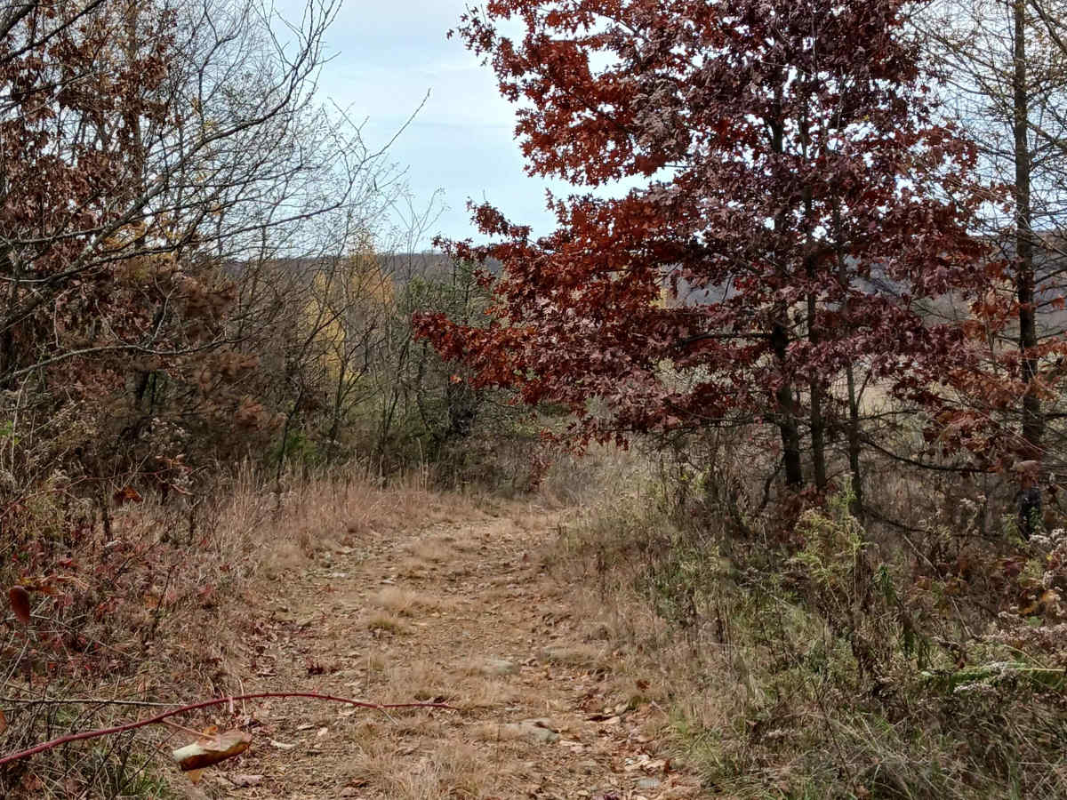 Trail 13B - Rock Run Recreation Area photo 4