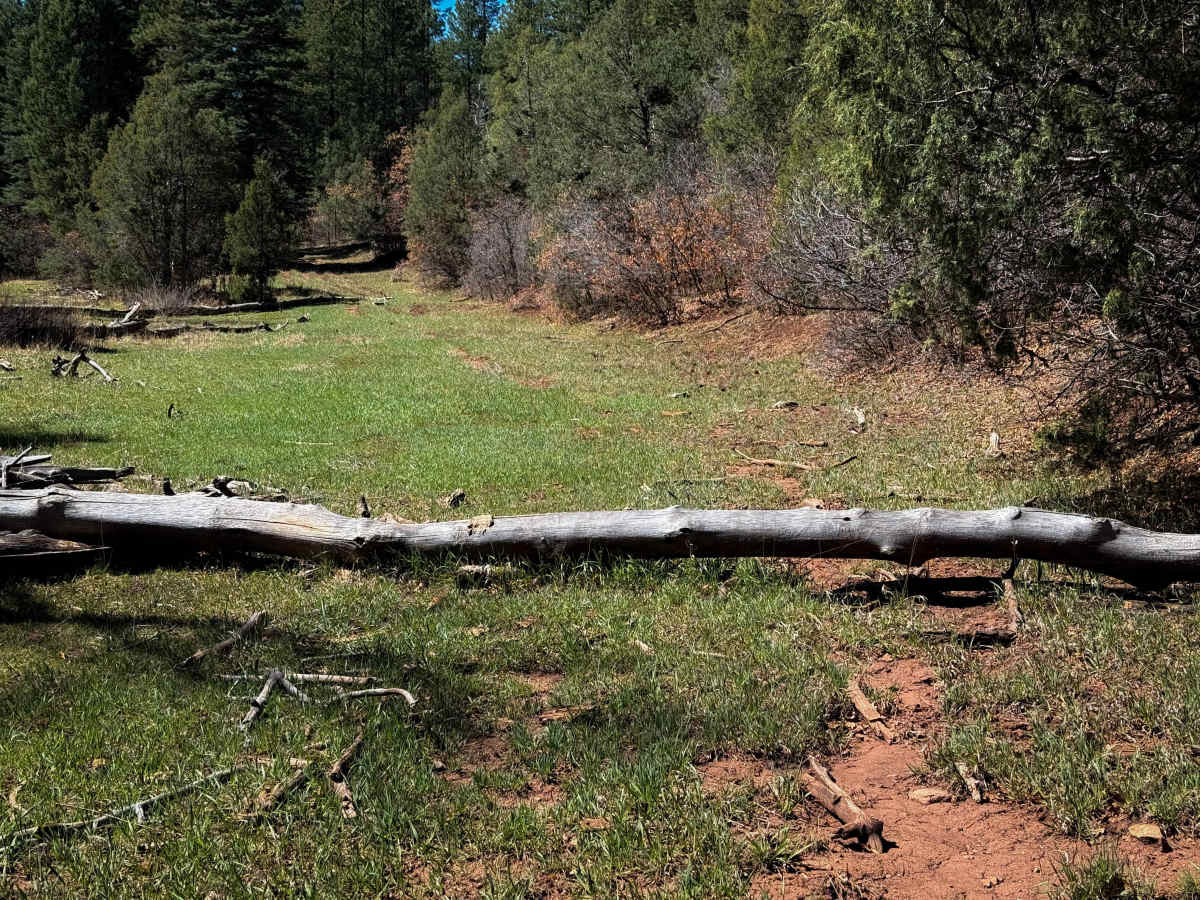 Corral photo 6