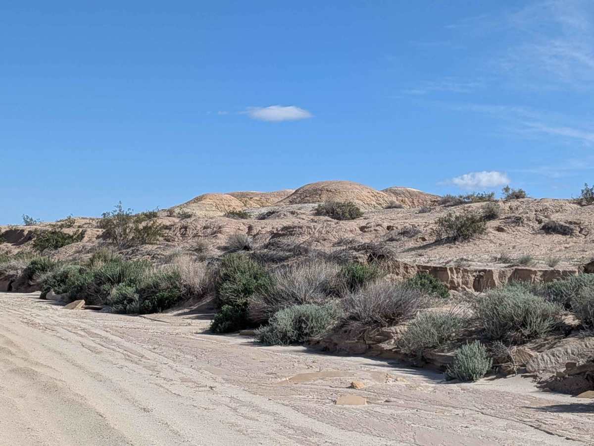 BLM 329 photo 5