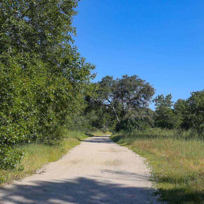 Near Lupine Loop Trail