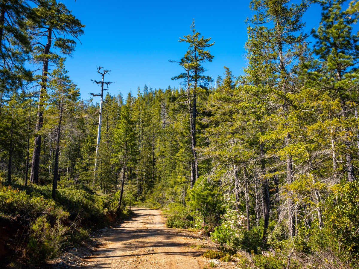 Black Jack Mine photo 5