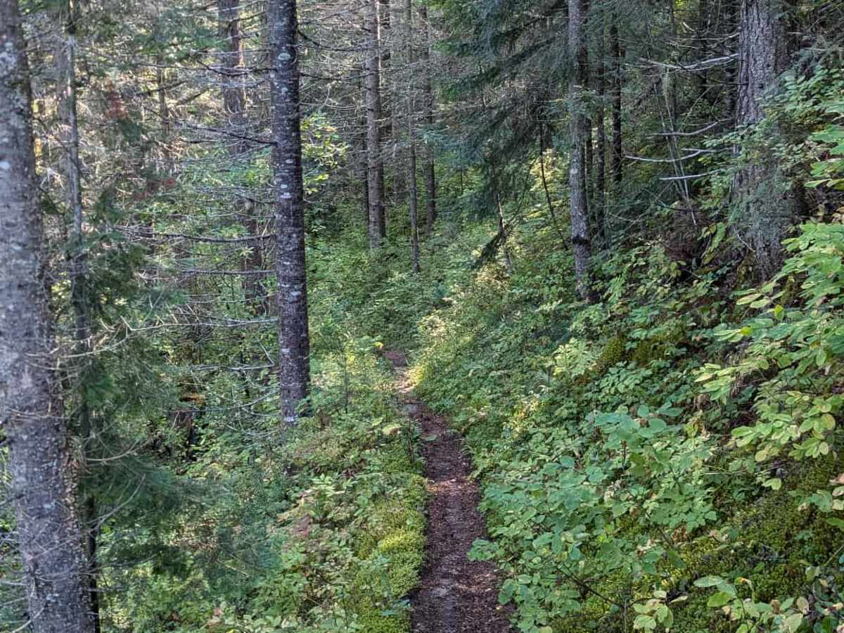 Fish Creek photo 4
