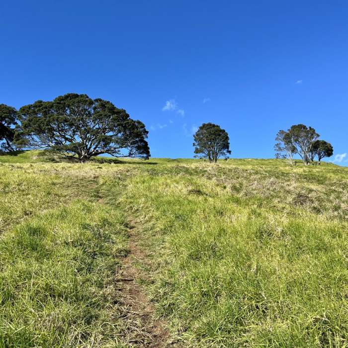 Near Mount Hobson and Mount Saint John Loop Near Mount Hobson and Mount Saint John Loop