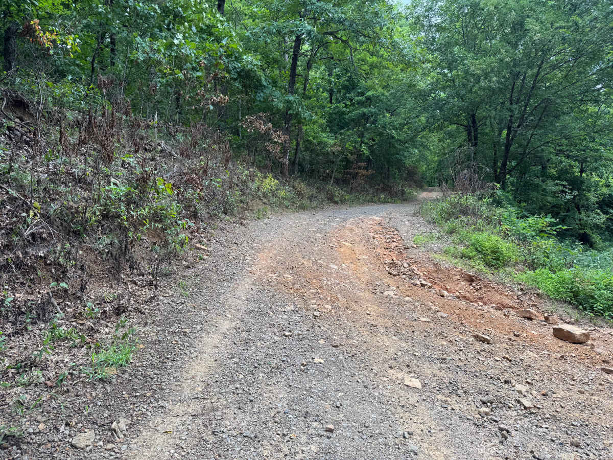Mikels trail photo