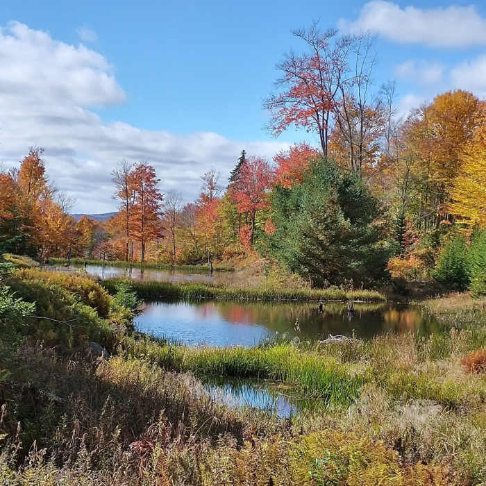 Near Winding Falls Trail