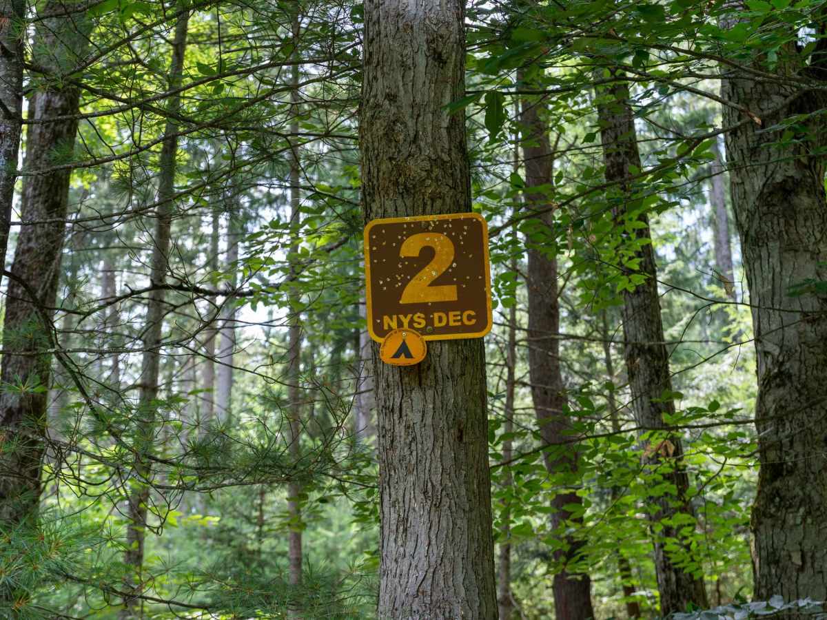 Right Fork Truck Trail photo 6