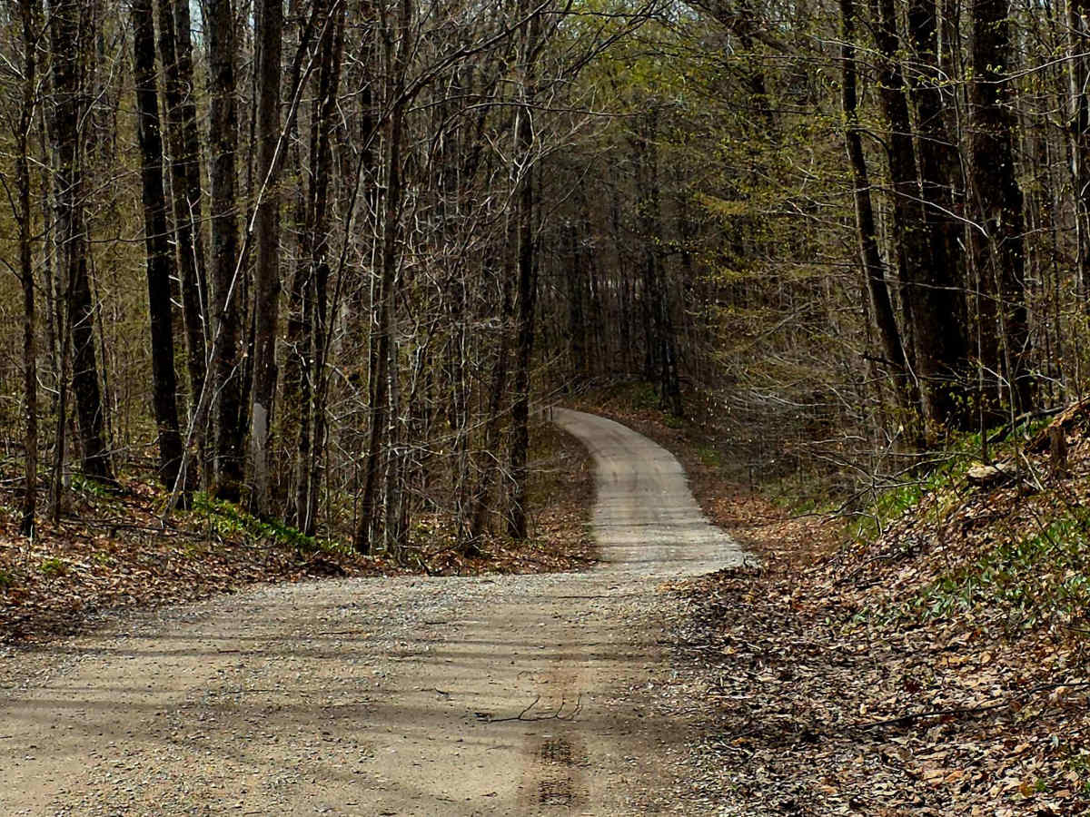 McEachron Road photo 6