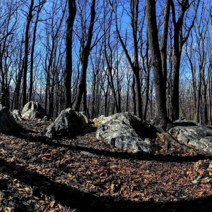 Near Birkhead Mountain Trail