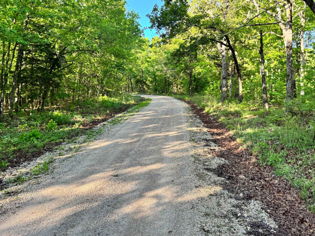 County Road 6420 photo 5